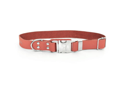 Quick-Release Coral Reef Leather Dog Collar - Premium Full-Grain Leather
