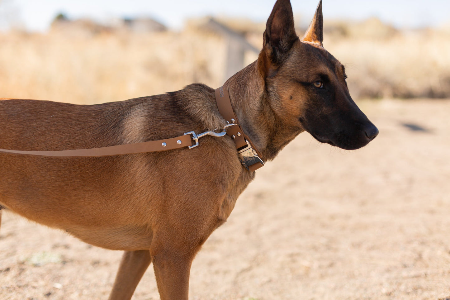 Quick-Release Dog Collar - Modern Style Quick-Release Khaki Leather Dog Collar
