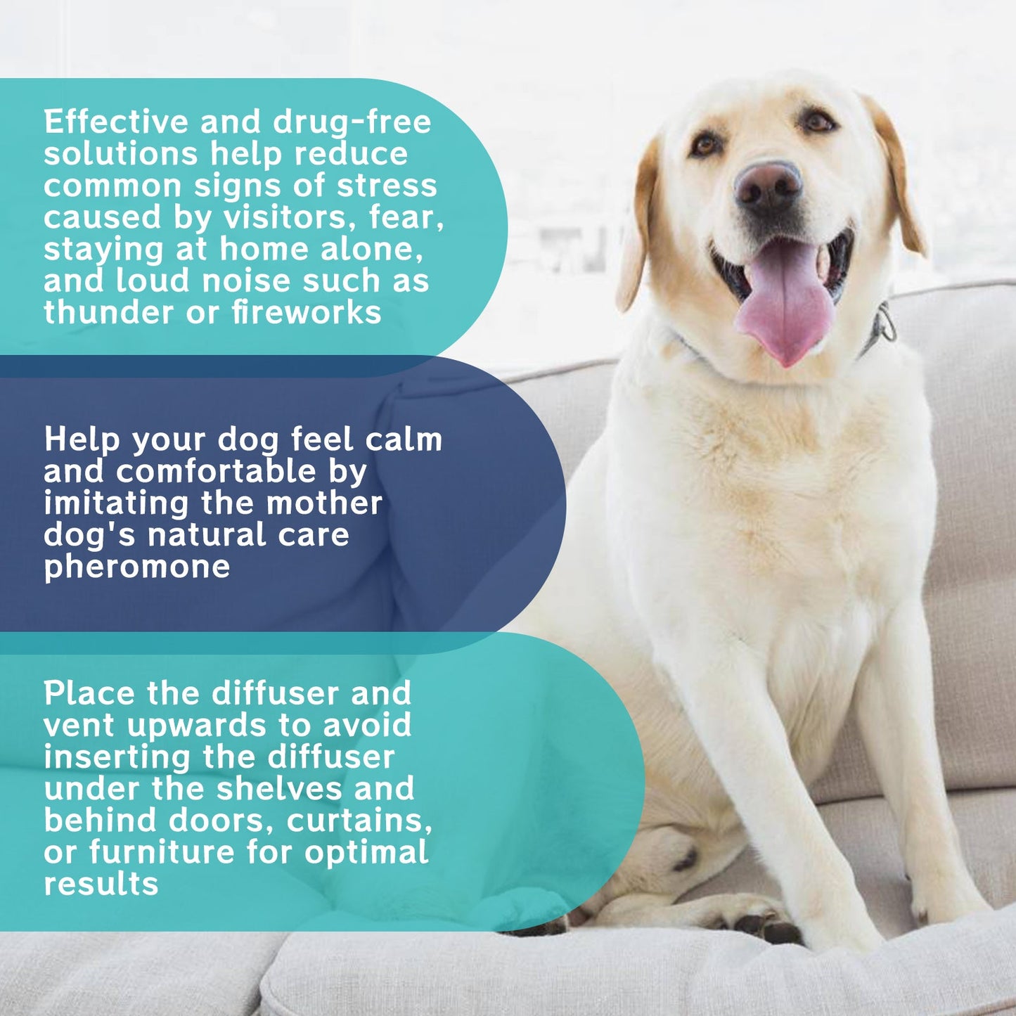 Pet Emotional Care Solution: Stop Barking Calming Diffuser Refill for Dogs & Cats