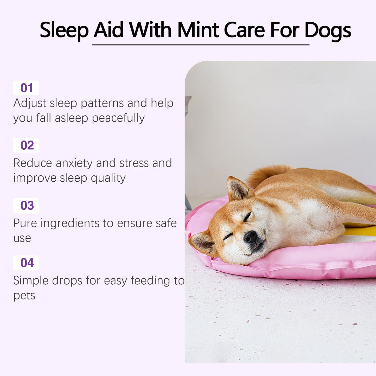 Natural Dog Sleep Drops: Nighttime Sleep Aid with Peppermint Extract | Calm Rest Formula