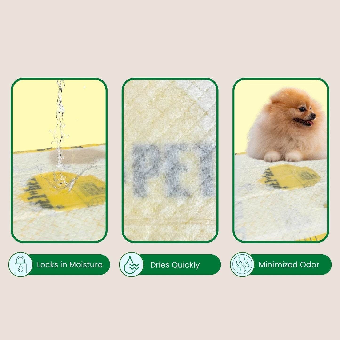 PET N PET Plant-Based Dog Pee Pads | 50 Count 6-Layer Protection