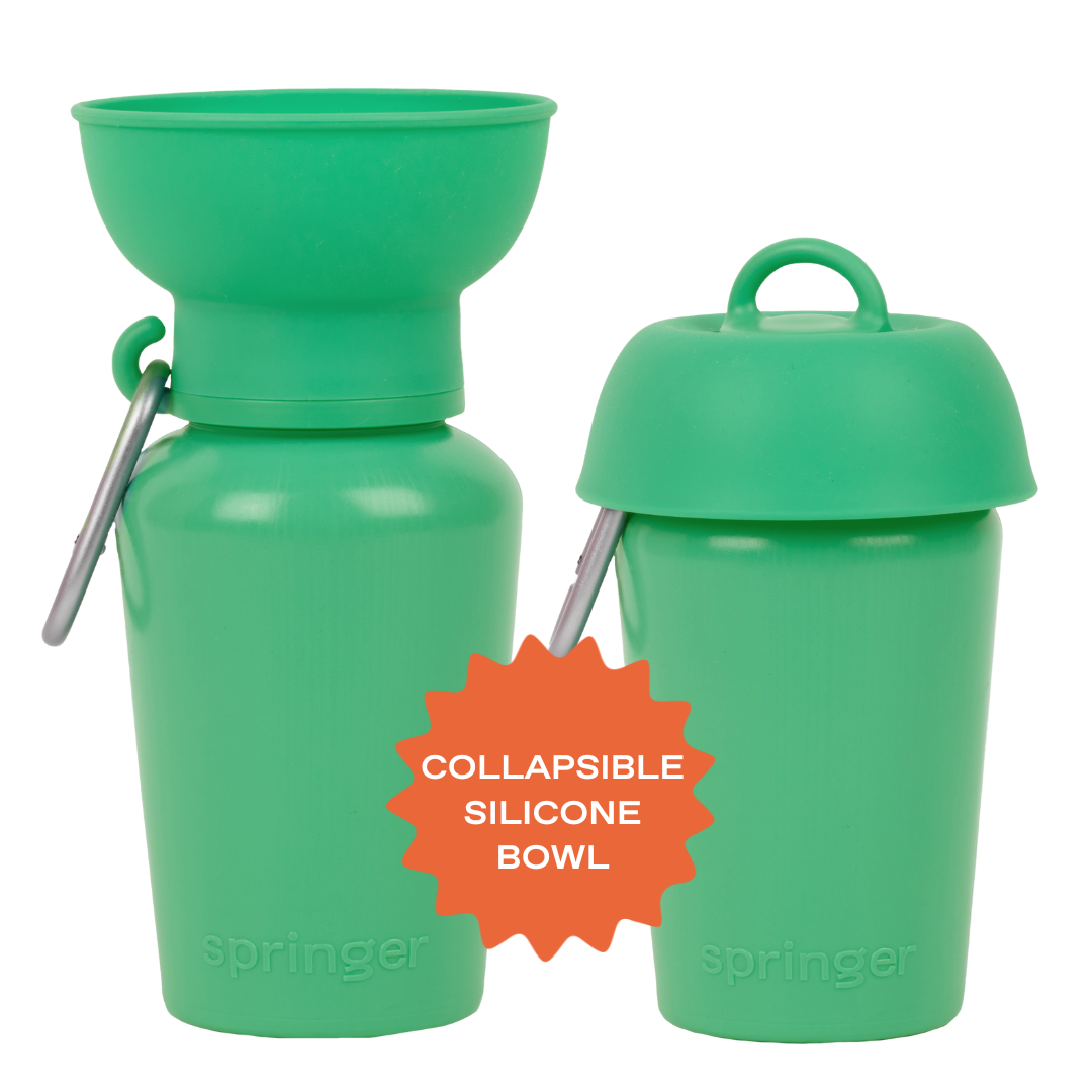 20oz Flip Dog Travel Water Bottle with Fold-Out Bowl