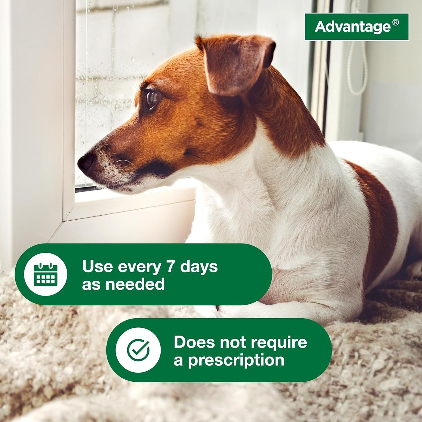 Advantage Flea and Tick Treatment Shampoo for Dogs and Puppies | 12 oz Bottle