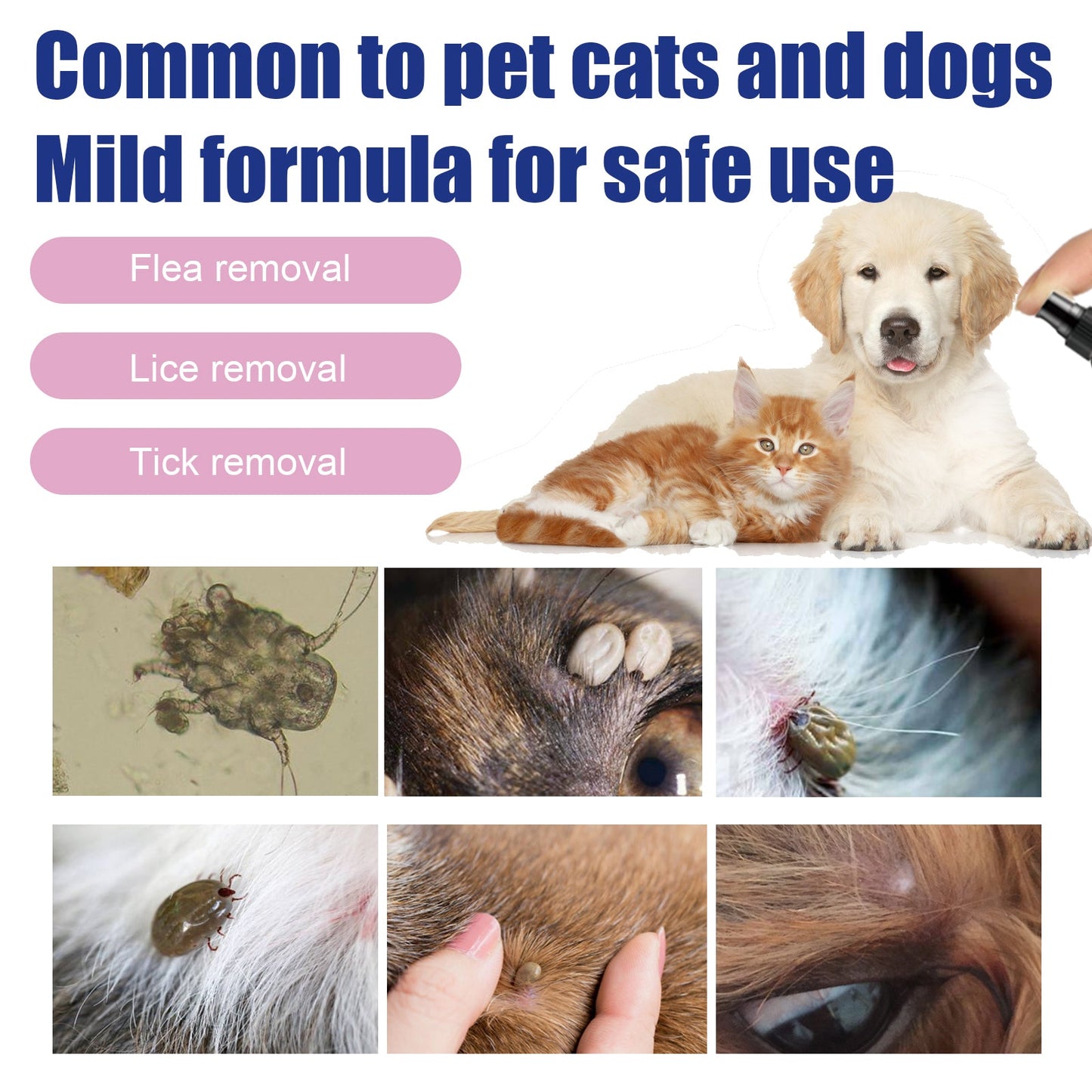 Natural Pet Flea and Tick Spray for Cats and Dogs | Lice and Mite Anti-Itch Treatment