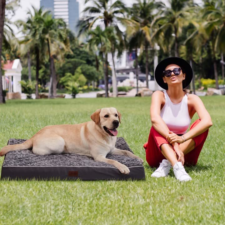 Large Dog Sofa Bed | 42x30 Orthopedic Egg-Crate Pet Mat with Waterproof Lining (Grey)