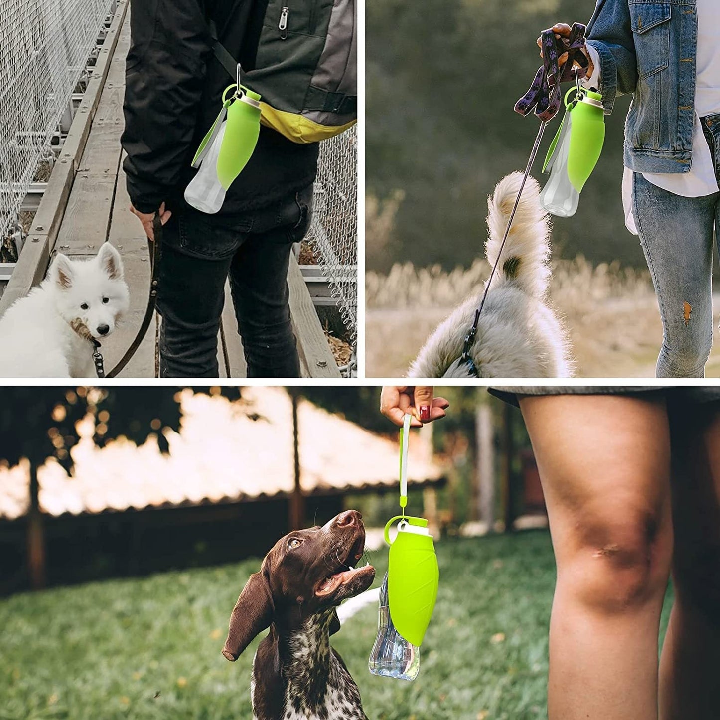 Portable Dog Water Bottle With Poop Bag Holder | 20 Oz Set