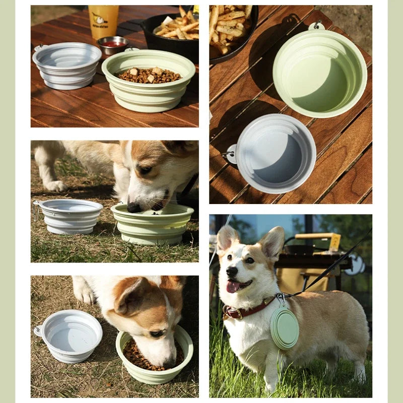 Foldable Silicone Dog Bowl For Travel | Portable Pet Dish