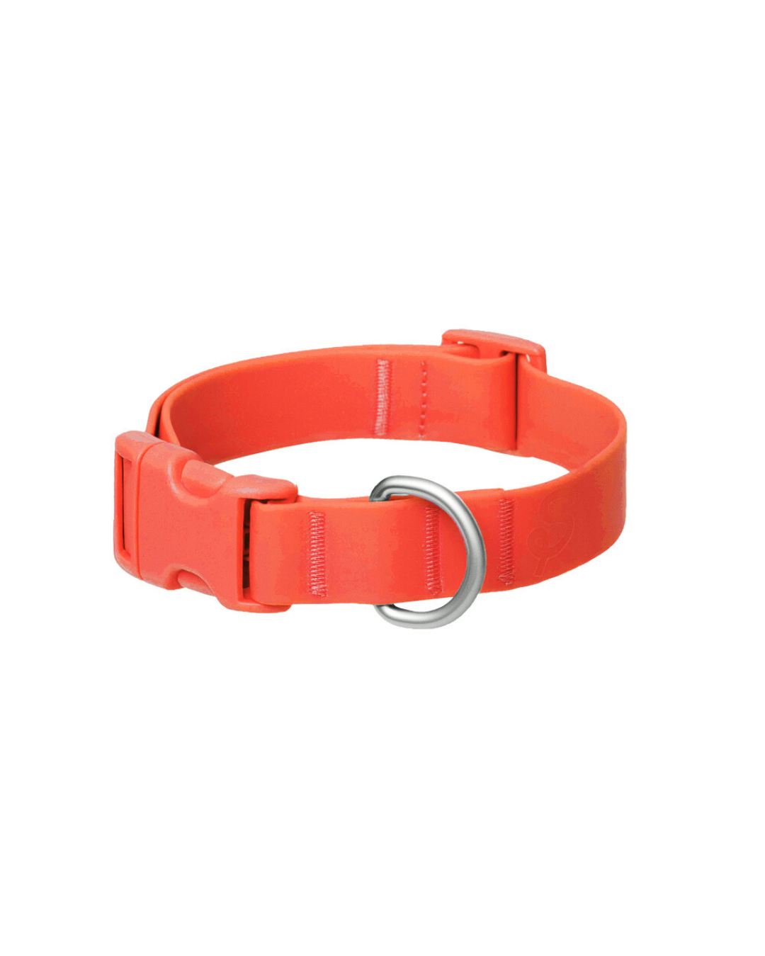 Original Waterproof Dog Collar for Everyday Walks