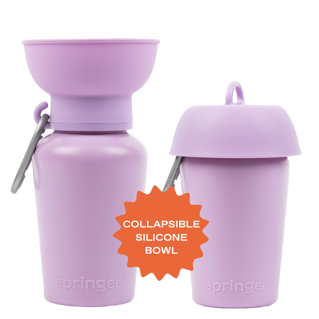 20oz Flip Dog Travel Water Bottle with Fold-Out Bowl