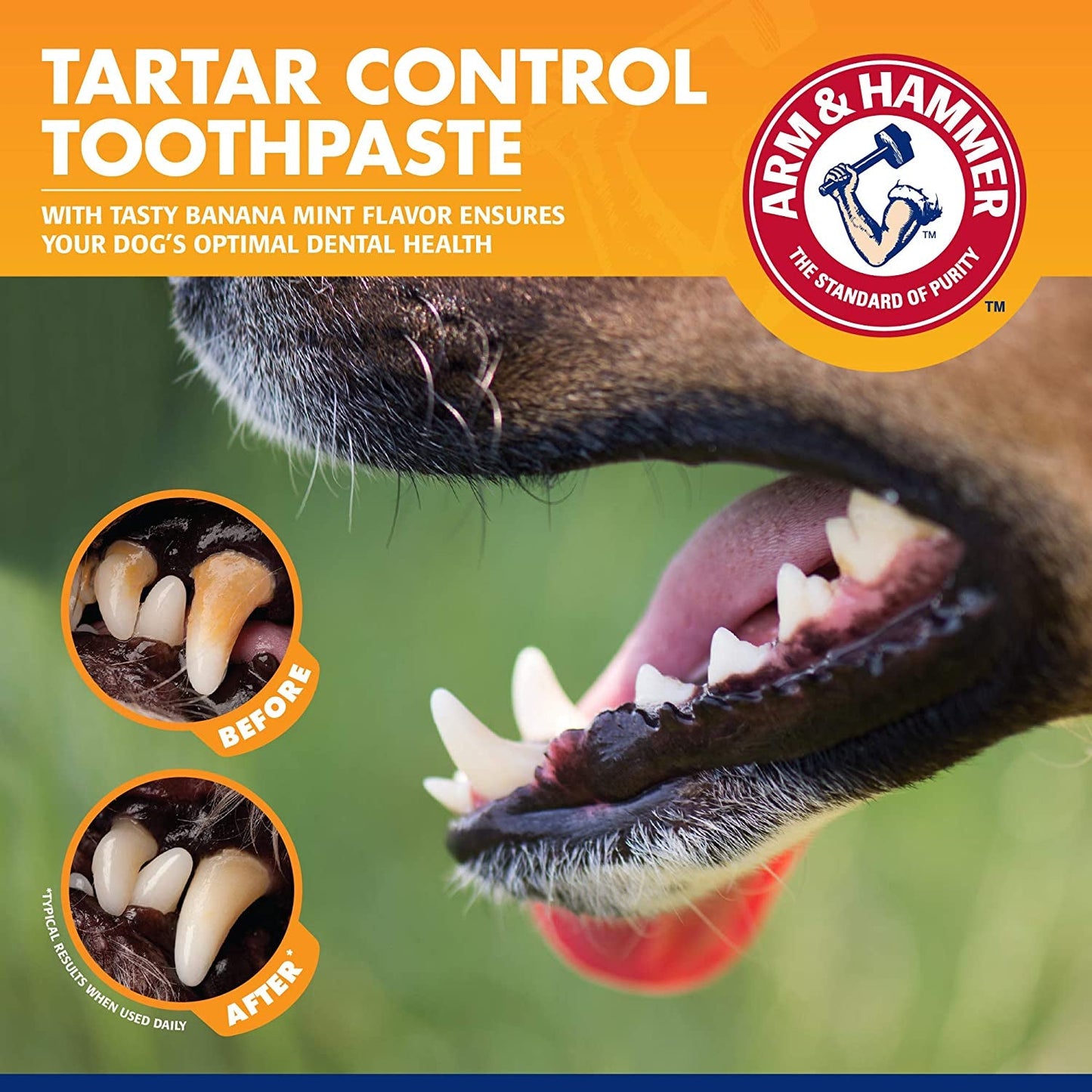 Arm and Hammer Tartar Control Kit for Dogs – Toothpaste and Dog Brush Set