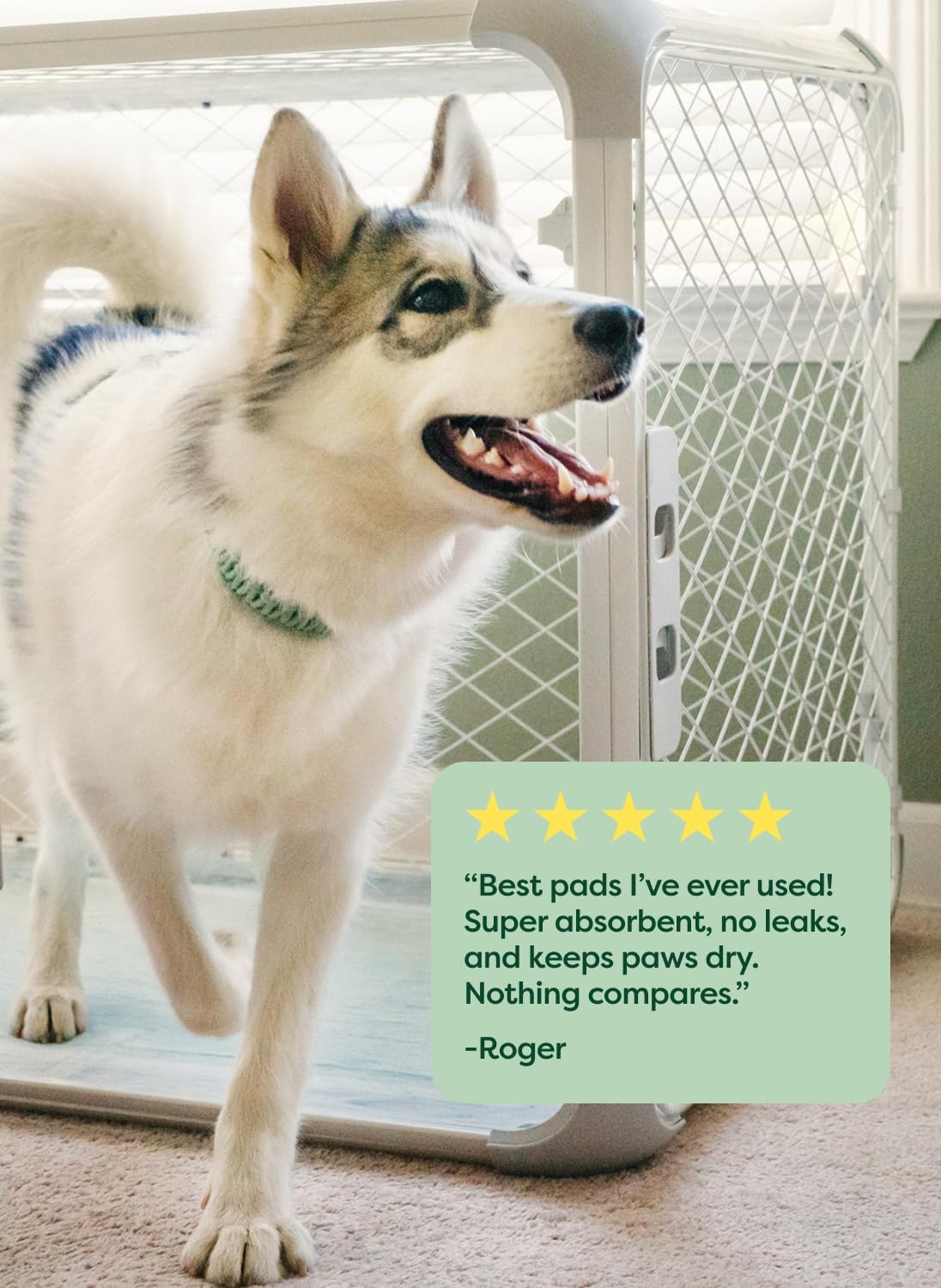 Earth Rated Max Puppy Pads | 40 Count Large Dog Training Mats