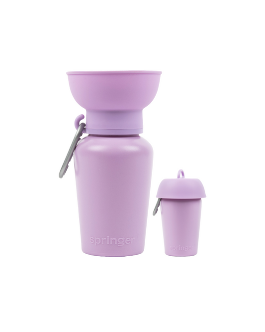 20oz Flip Dog Travel Water Bottle with Fold-Out Bowl