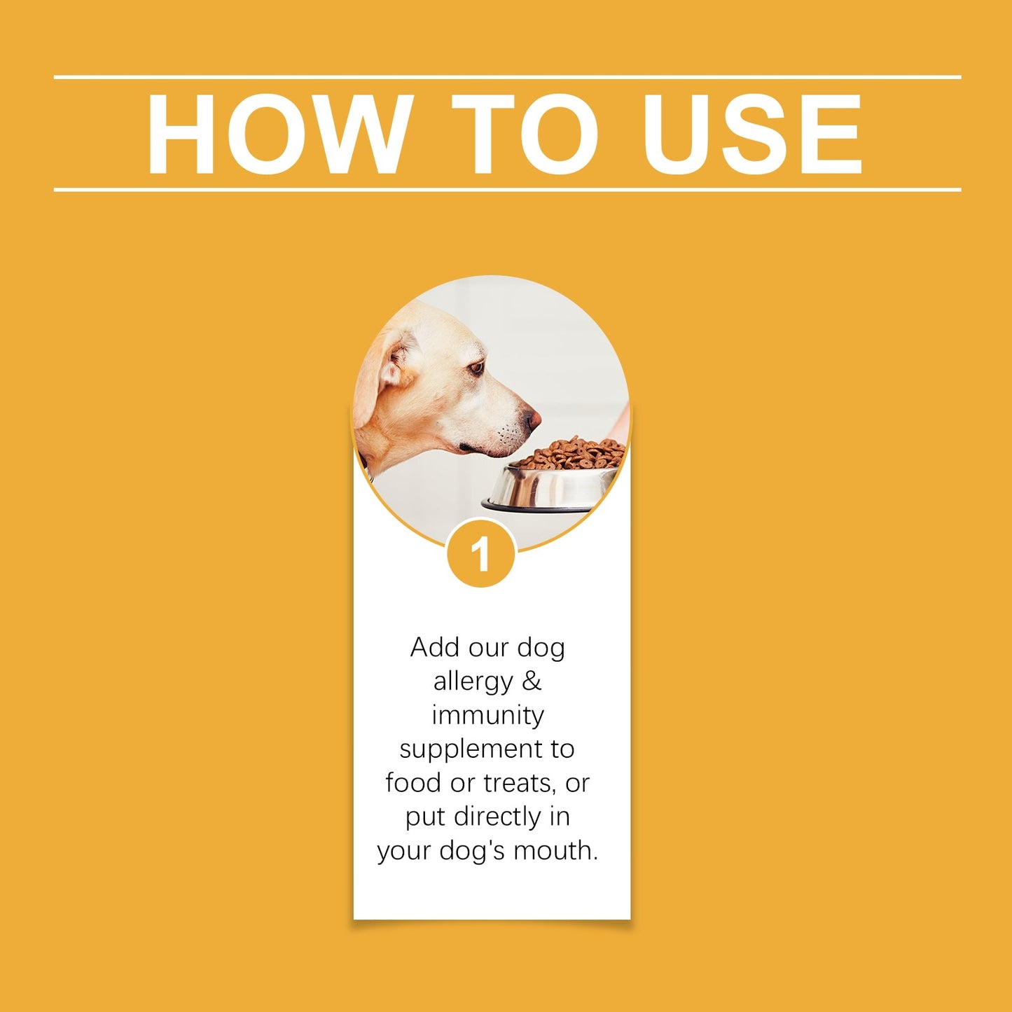 Dog Allergy Relief Drops: Natural Immunity Support with Sorbitol & Erythritol | Oral Care