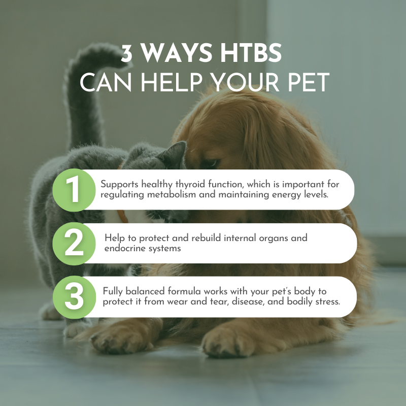 Pet Total Body Support: Dog and Cat Multivitamen Powder