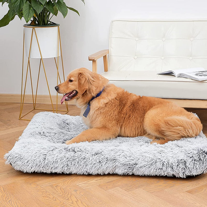 Gray Washable Dog Bed | Plush Pet Mat | Removable Cover