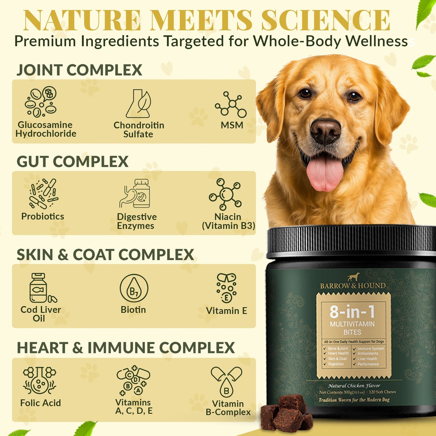 8-in-1 Daily Multivitamin for Dogs: All-in-One Health Support with Probiotics | 120 Count