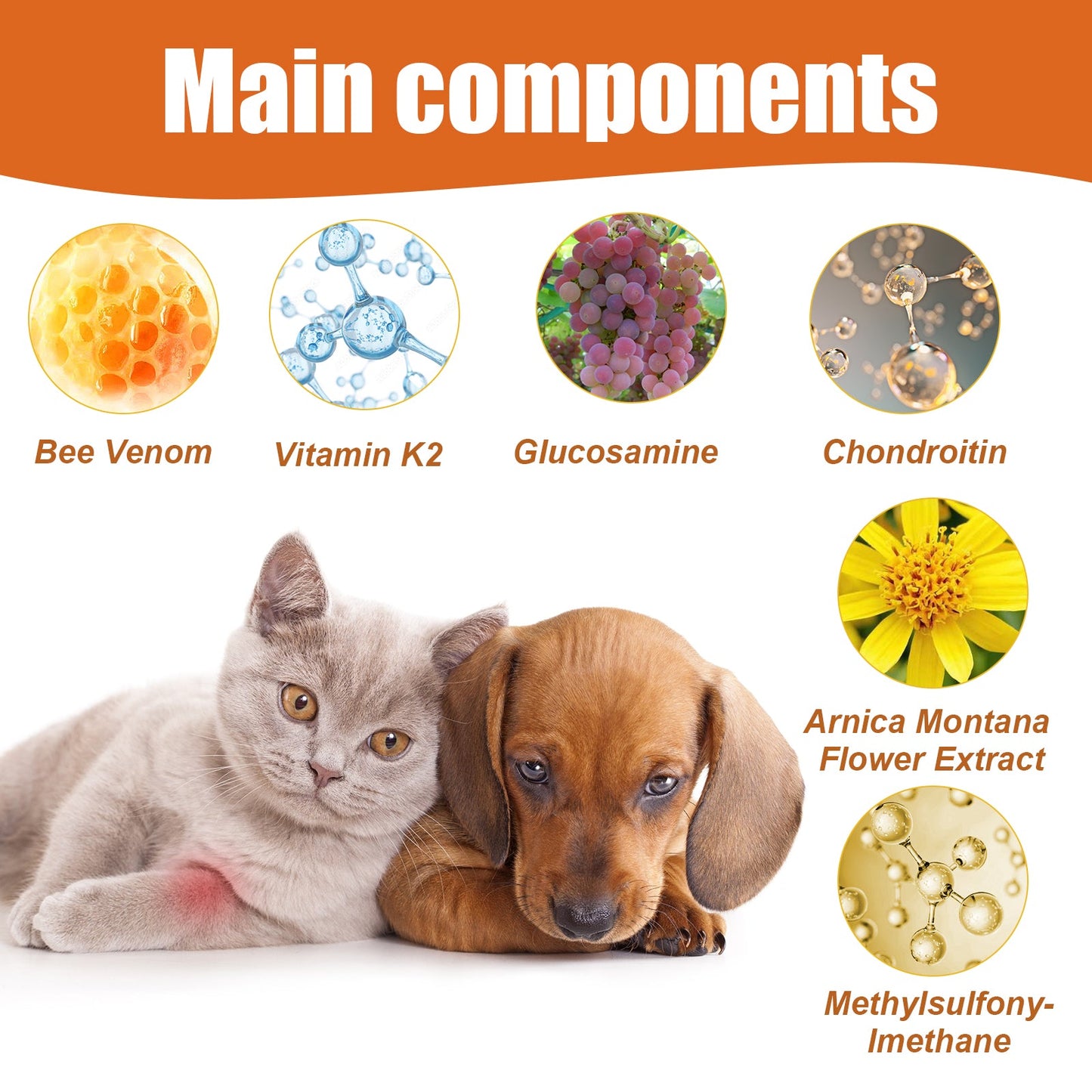 Pet Bee Venom Joint Care Oil – Vitamin K2 & Arnica Relief for Dogs & Cats