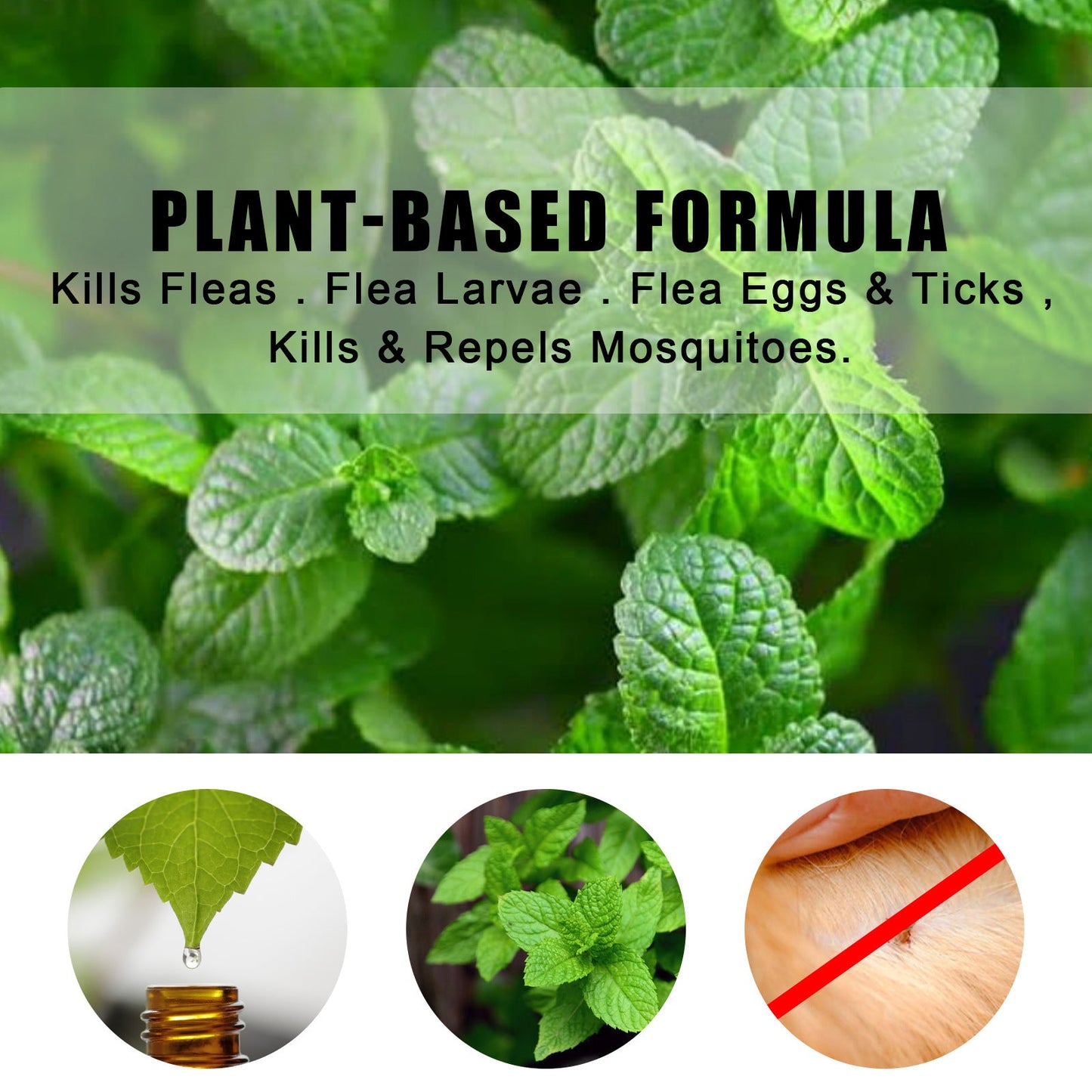 Peppermint Pet Repellent Spray for Dogs and Cats | Natural Flea and Mite Control