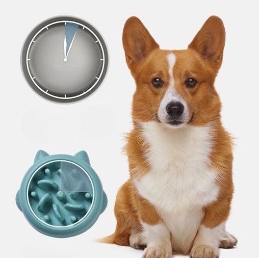 Anti Choking Slow Feeder Pet Bowl | Small Dog And Cat Feeder