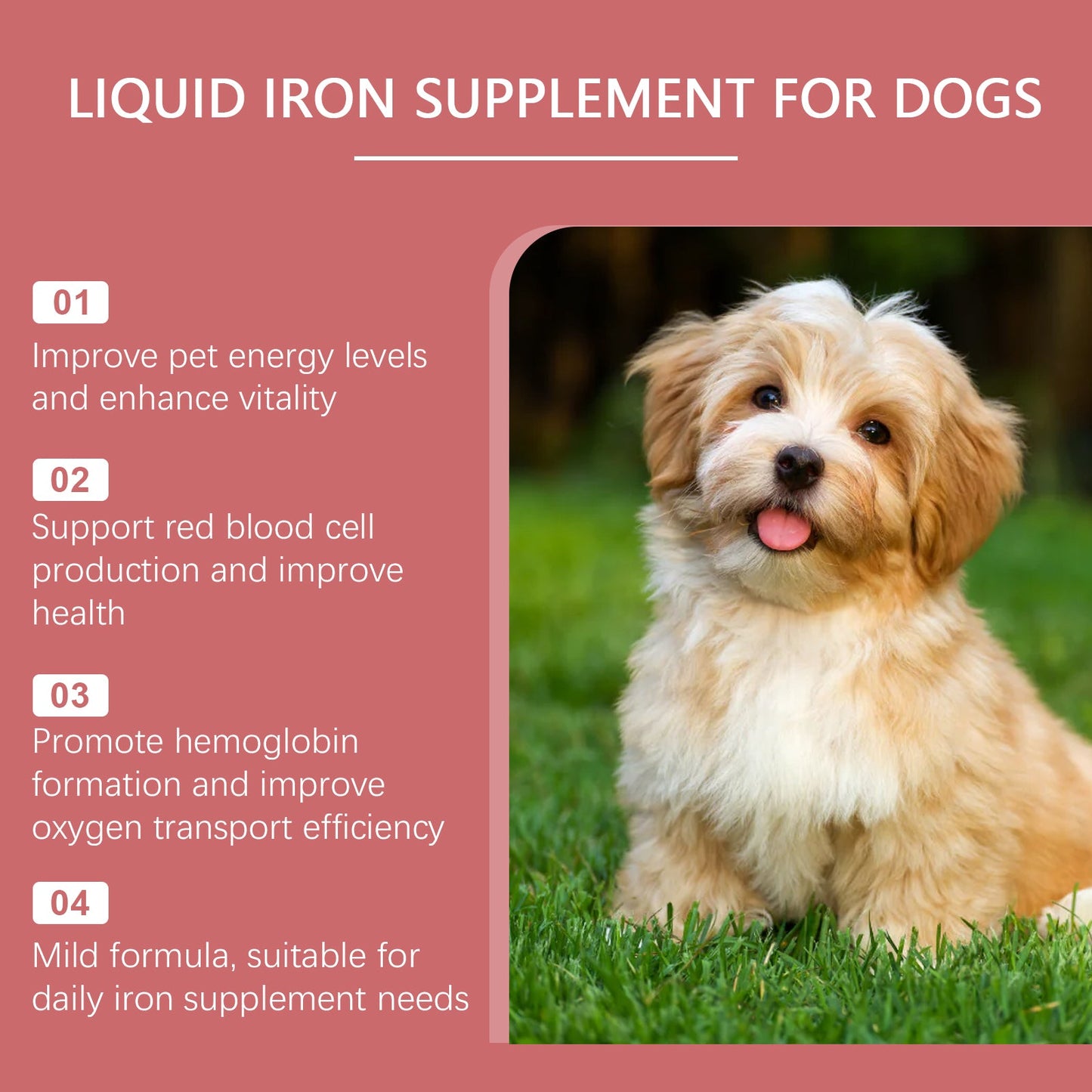 Iron Supplement Syrup for Dogs: Red Blood Cell Support with Peppermint Extract | 1-3 Daily