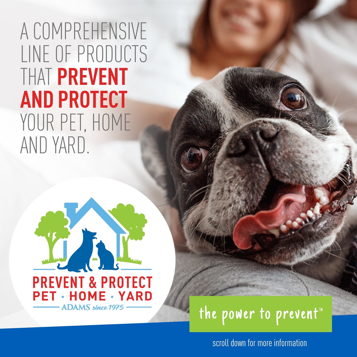 Flea and Tick Foaming Shampoo for Dogs 2-Pack