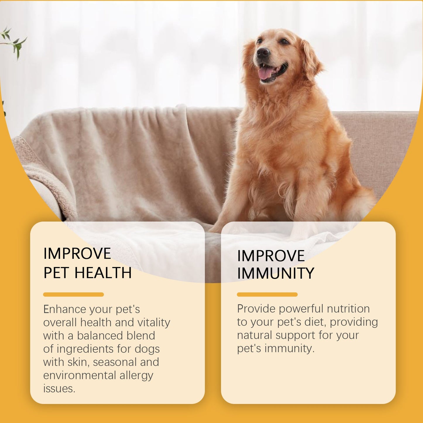 Dog Allergy Relief Drops: Natural Immunity Support with Sorbitol & Erythritol | Oral Care