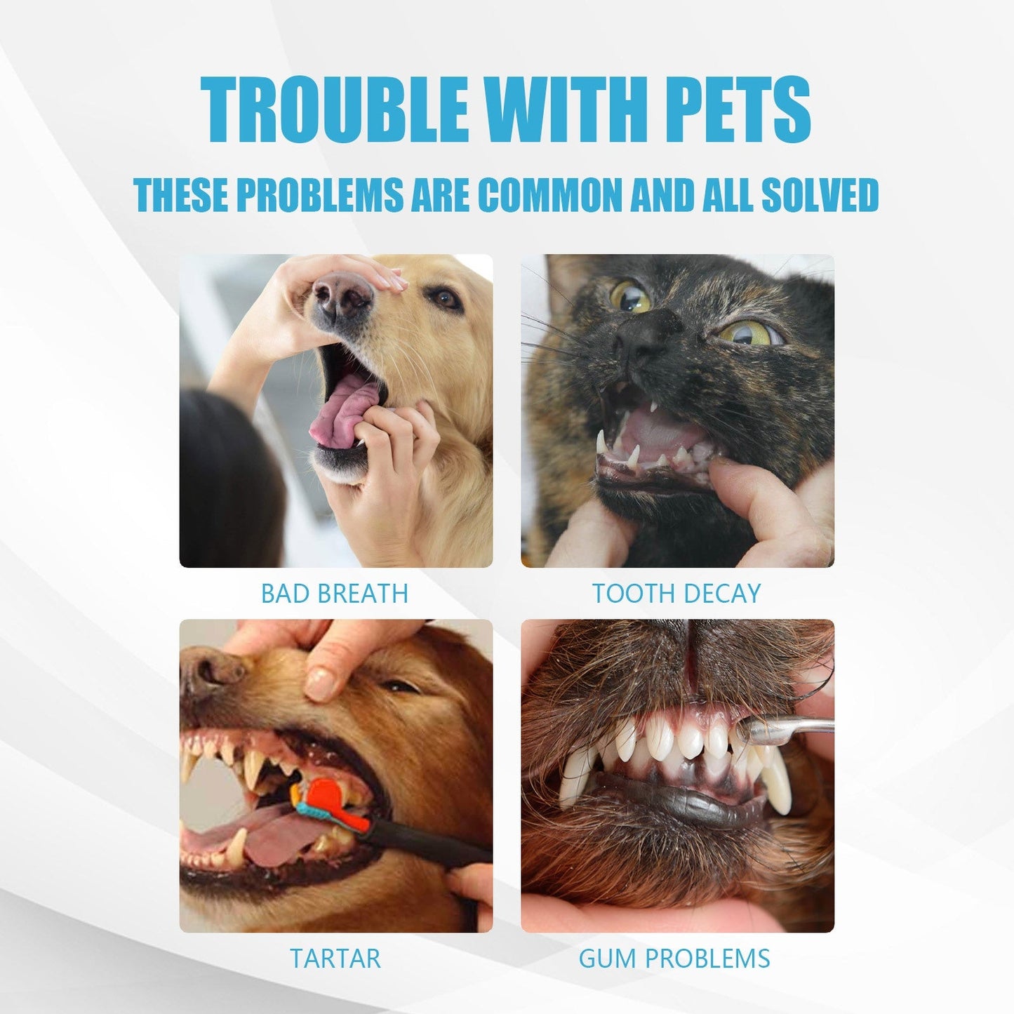 Pet Toothpaste for Dogs & Cats – Edible Fresh Breath Dental Cleaning Gel (5.1")