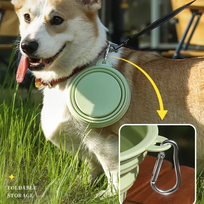 Foldable Silicone Dog Bowl For Travel | Portable Pet Dish