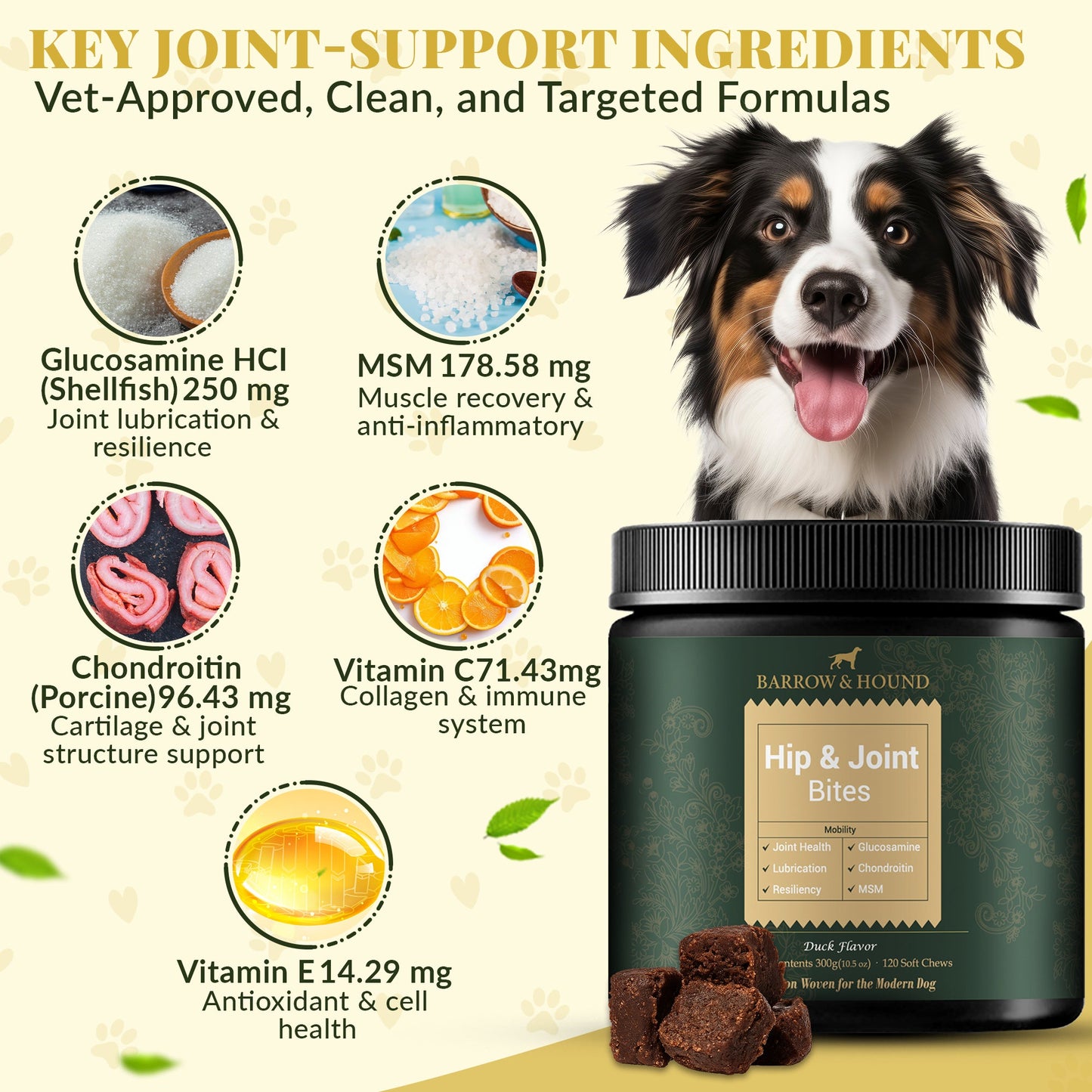 Hip & Joint Supplement for Dogs – Glucosamine and Chondroitin Dog Joint Support Chews