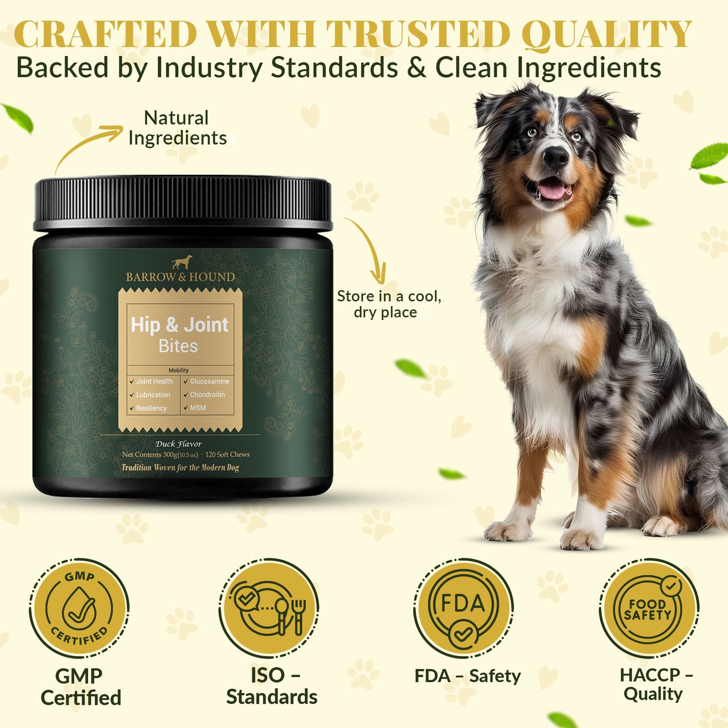 Hip & Joint Supplement for Dogs – Glucosamine and Chondroitin Dog Joint Support Chews