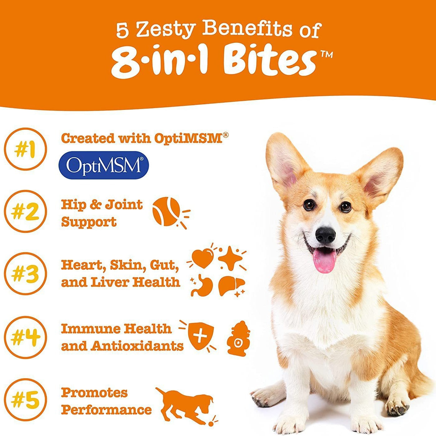 Dog Multivitamin and Mineral Supplement for Daily Health | All-in-One Pet Vitality Formula