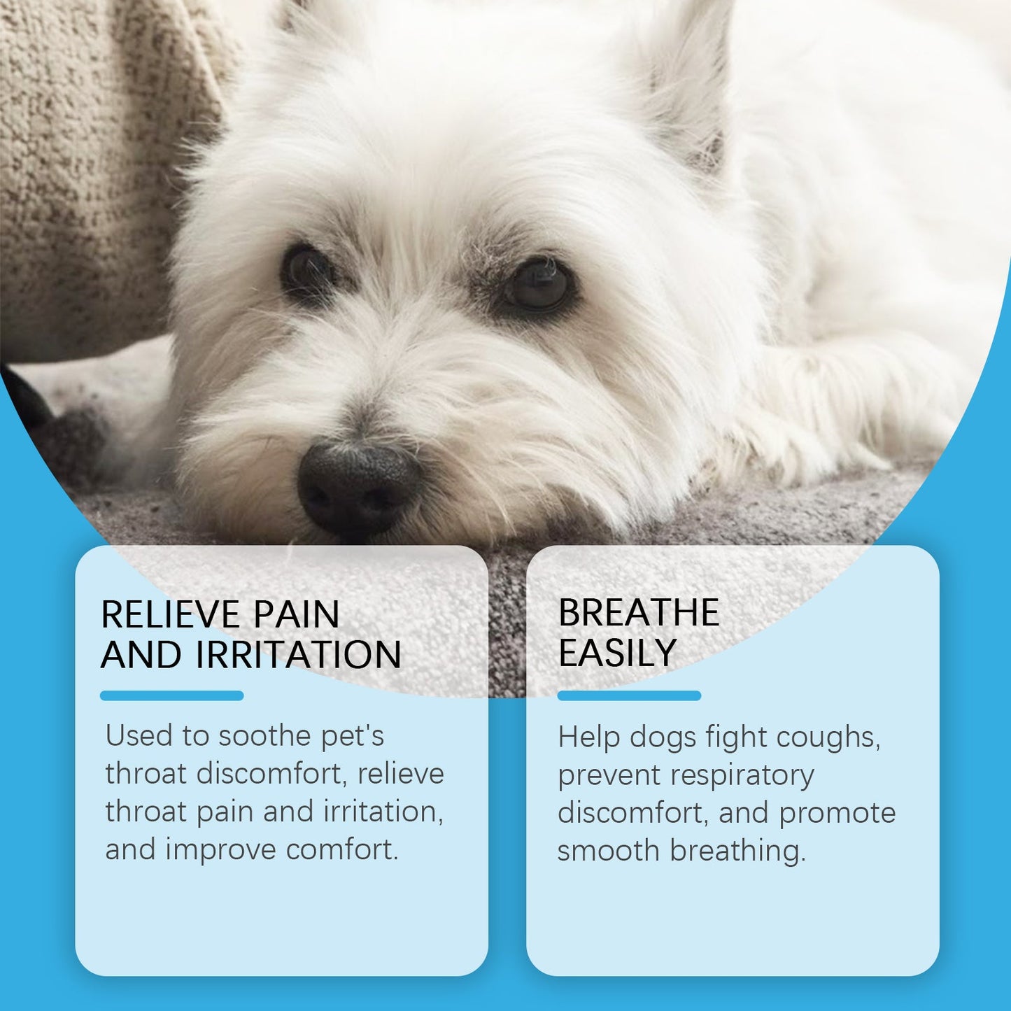 Dog Cough and Respiratory Relief Syrup: Immune Support with Sorbitol & Erythritol