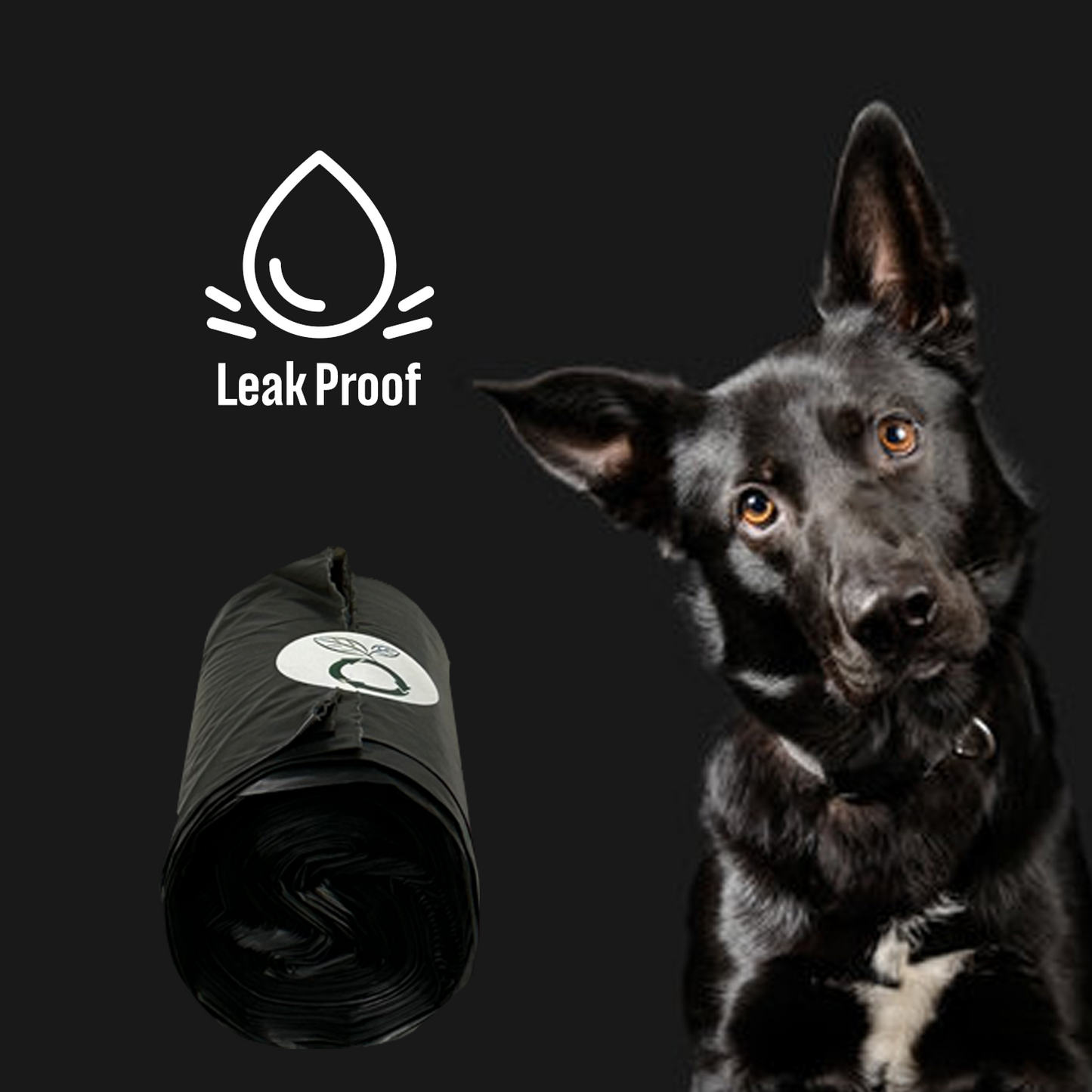 beyondGREEN Dog Waste Bags Made in USA | Leak-Resistant Refill Rolls