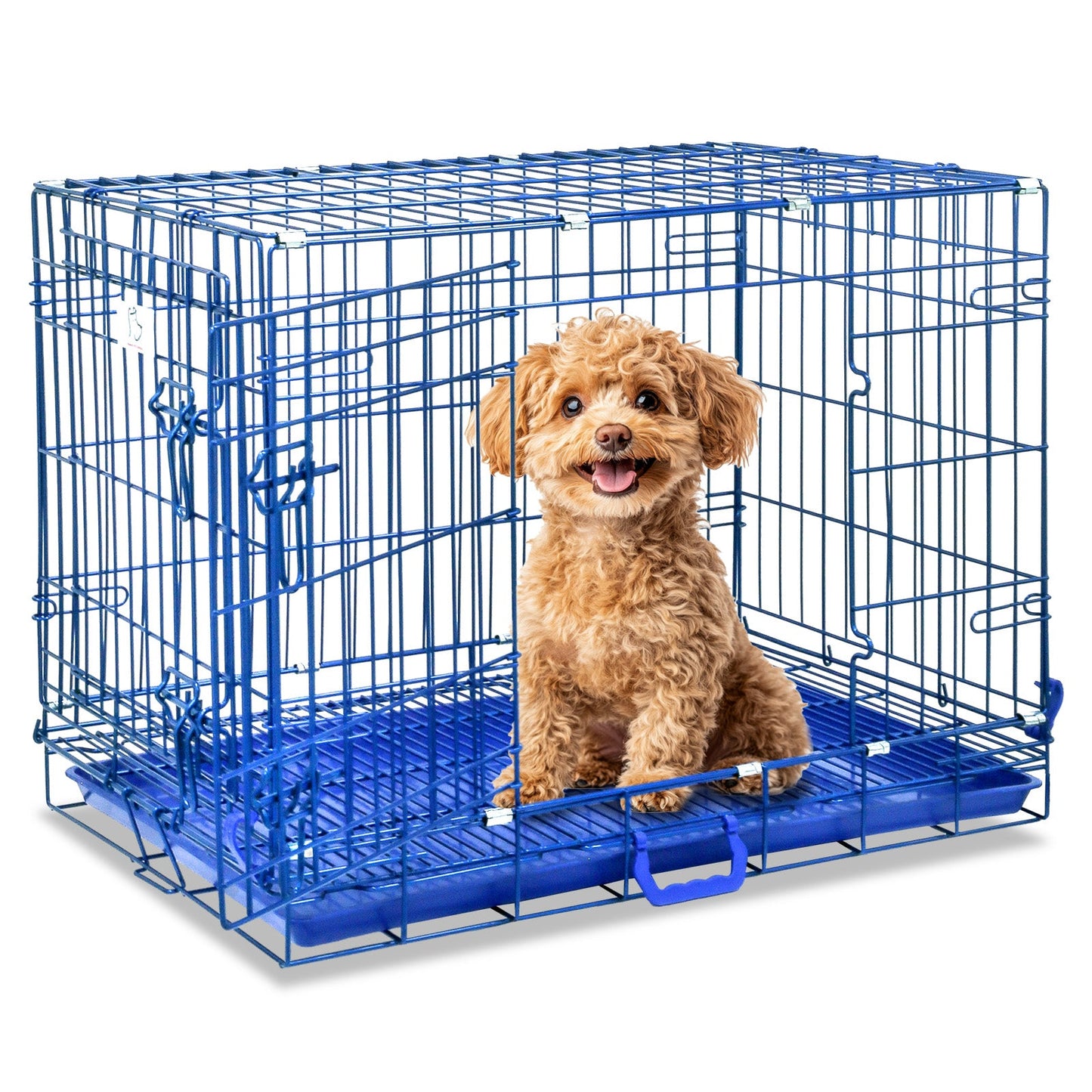 30" Collapsible Blue Dog Crate | Double Door Wire Kennel