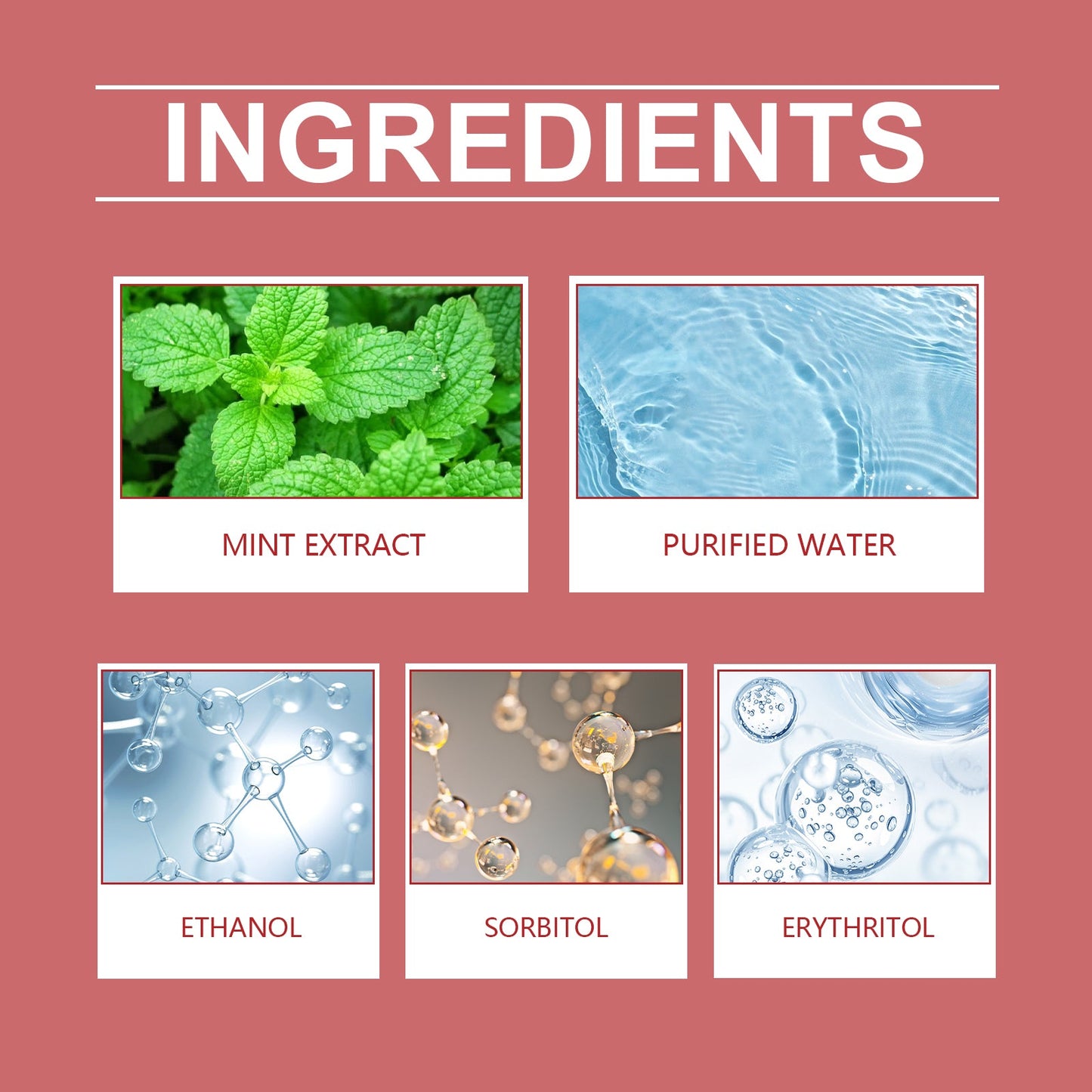 Iron Supplement Syrup for Dogs: Red Blood Cell Support with Peppermint Extract | 1-3 Daily
