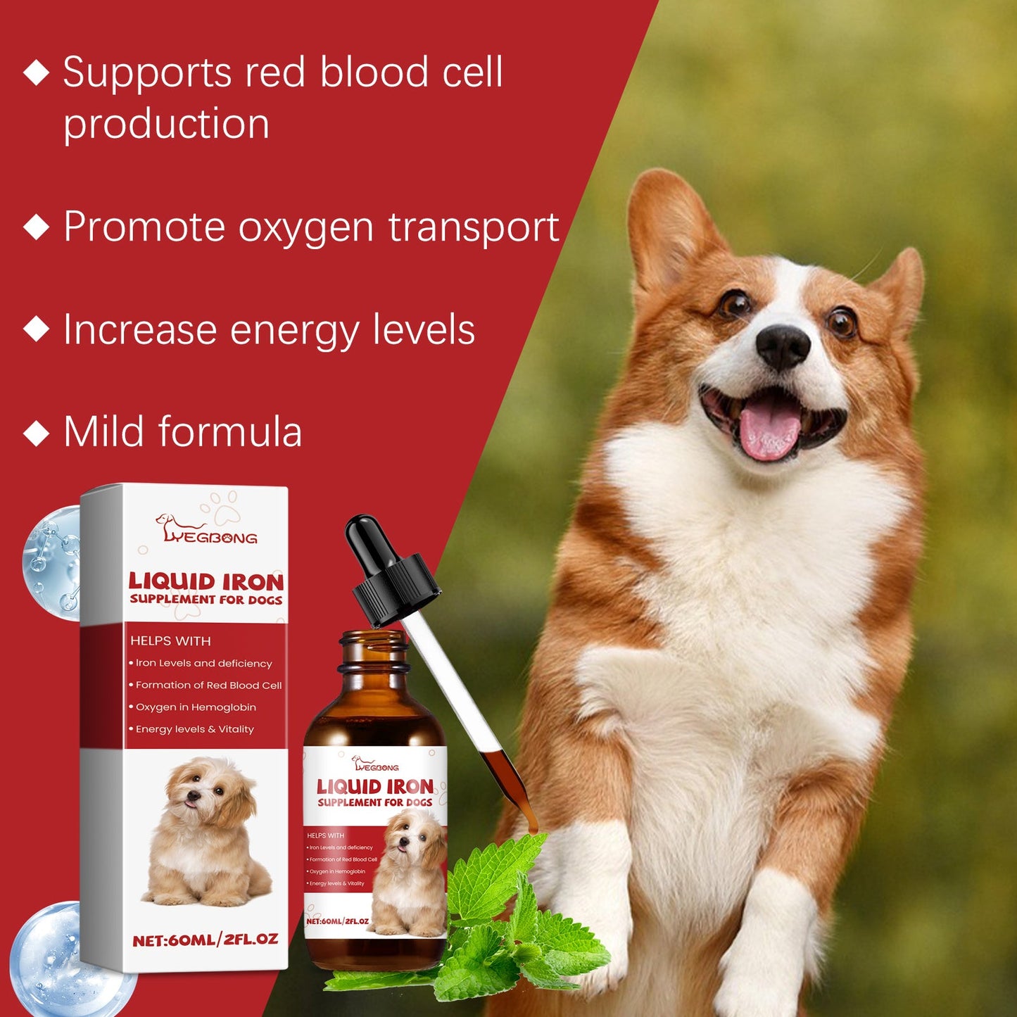 Iron Supplement Syrup for Dogs: Red Blood Cell Support with Peppermint Extract | 1-3 Daily