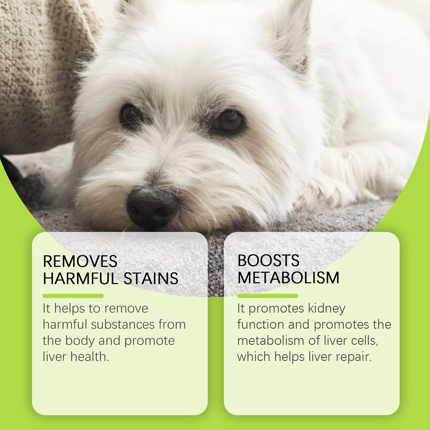 Dog Kidney and Liver Support Drops: Detox Supplement with Sorbitol & Erythritol