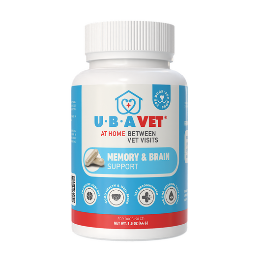 Memory & Brain Support for Senior Dogs: Cognitive Health Nootropic | 90 ct
