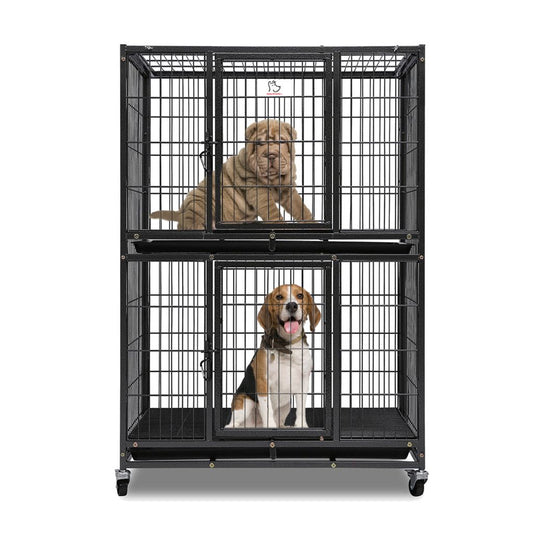 31 Inch Two Tier Dog Crate | Double Decker Steel Pet Kennel