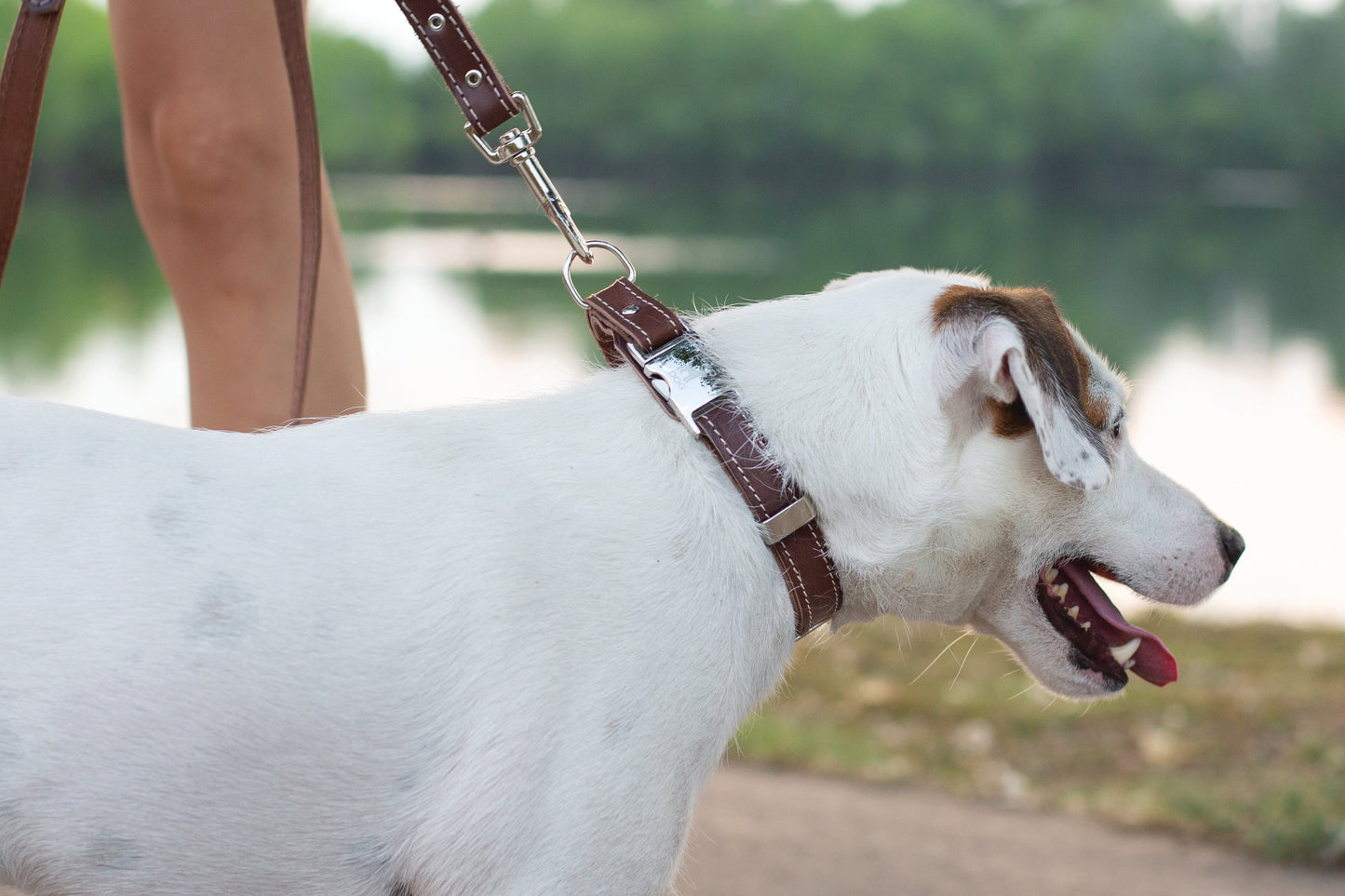 Brown Leather Dog Leash - Pro Line Hunting Chocolate Leather Dog Leash
