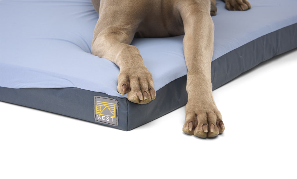 Premium Memory Foam Travel Dog Bed | Rugged & Packable