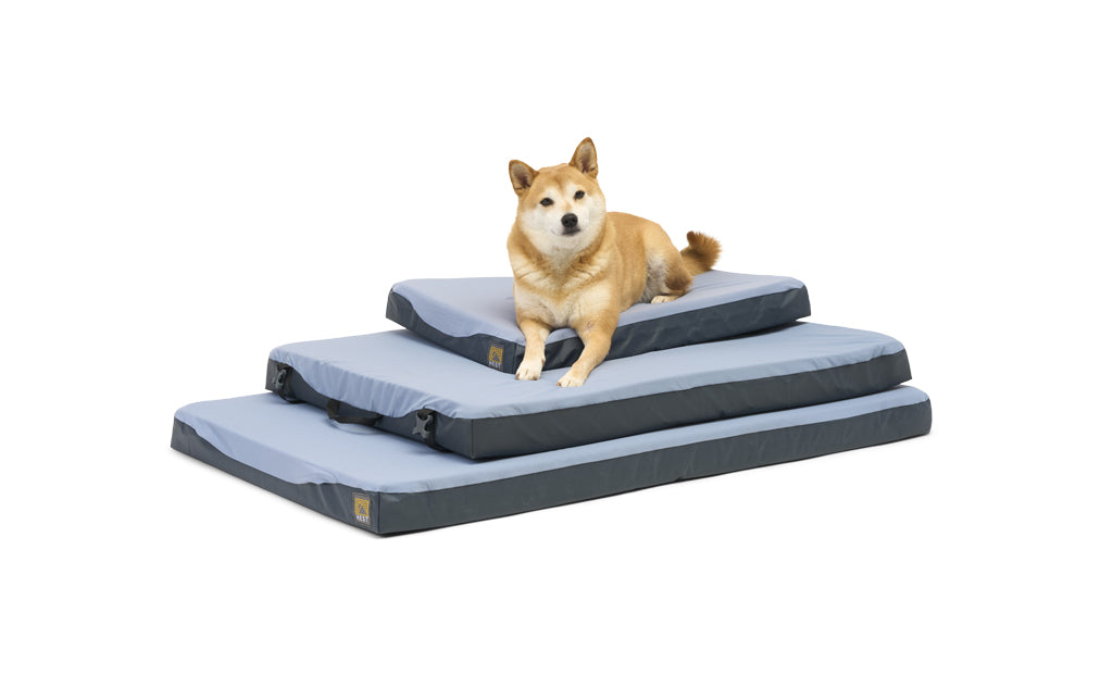 Premium Memory Foam Travel Dog Bed | Rugged & Packable