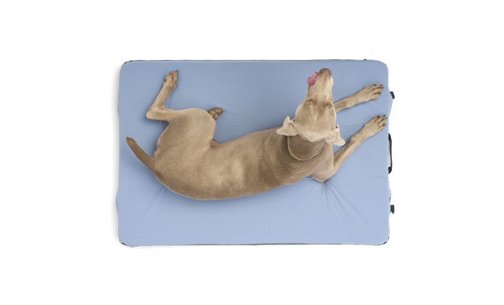 Premium Memory Foam Travel Dog Bed | Rugged & Packable