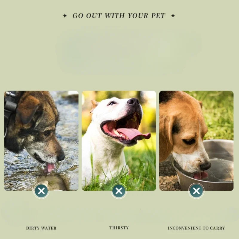 Foldable Silicone Dog Bowl For Travel | Portable Pet Dish