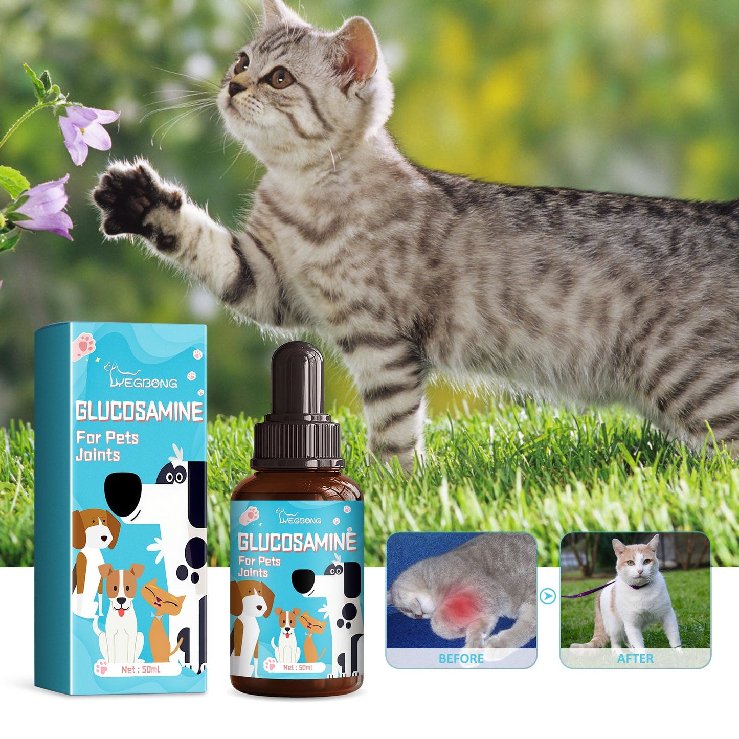 Pet Glucosamine Drops for Joint Pain – Turmeric and Chondroitin Relief for Dogs & Cats