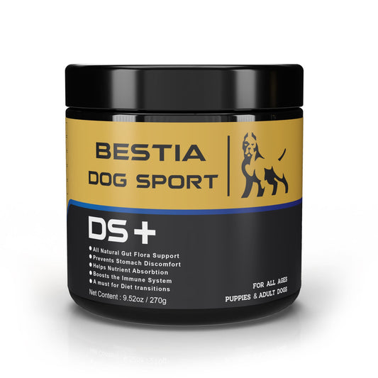 BDS DS+ Dog Food Supplement: Advanced Digestive Support with 6 Billion CFU Probiotics | 120 Count