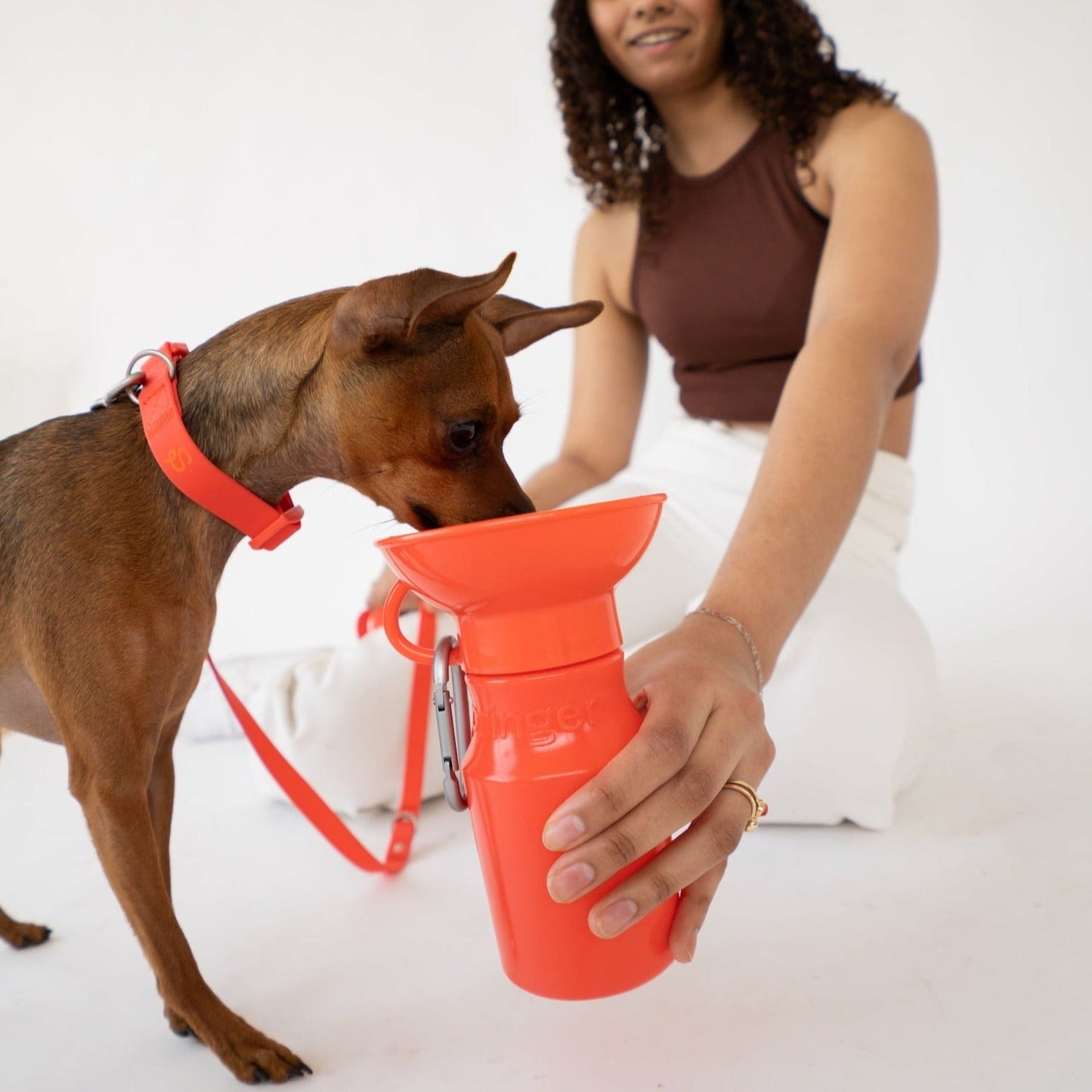 15oz Original Dog Travel Water Bottle for On-the-Go Hydration