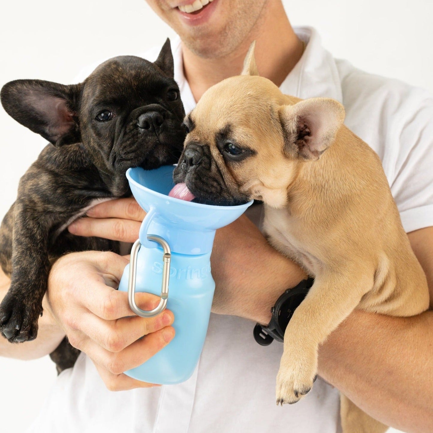 15oz Original Dog Travel Water Bottle for On-the-Go Hydration