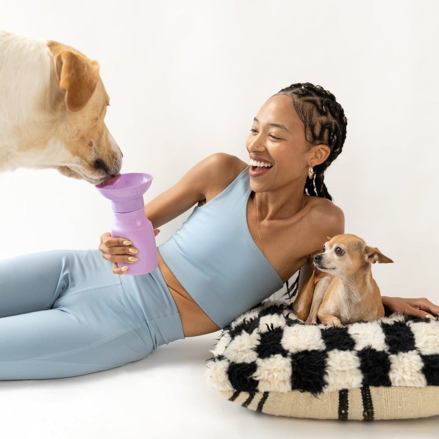 15oz Original Dog Travel Water Bottle for On-the-Go Hydration