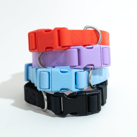 Original Waterproof Dog Collar for Everyday Walks